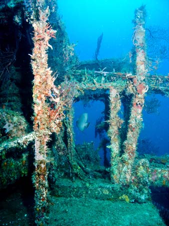 Shakem Shipwreck - Caribean